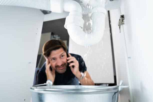 Best Best Plumbers Near Me  in Mount Prospect, IL
