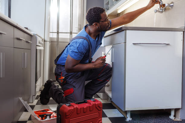 Best Clogged Drain Plumber  in Mount Prospect, IL