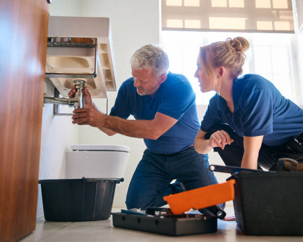Best Shower Repair Services  in Mount Prospect, IL